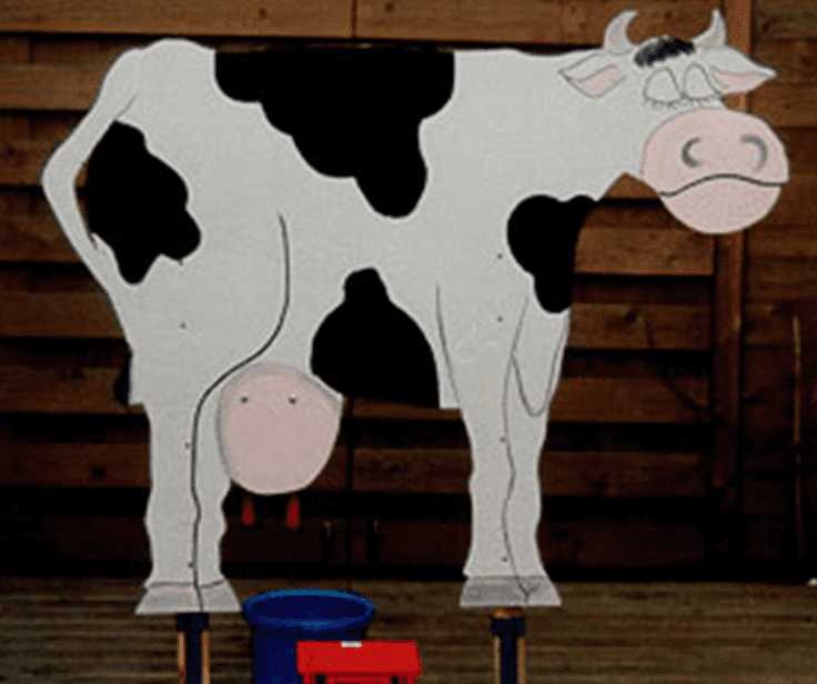 Koeien melken - Traire les vaches